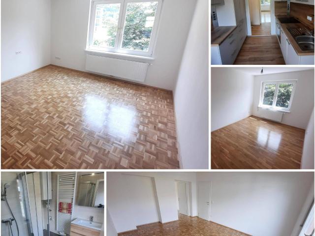 Apartment mieten in Laßnitz bei Murau, Steiermark