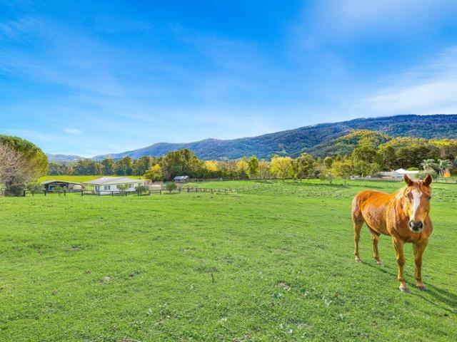 Land for sale in Murrurundi, New South Wales