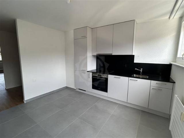 Apartment mieten in Vevey, Waadt