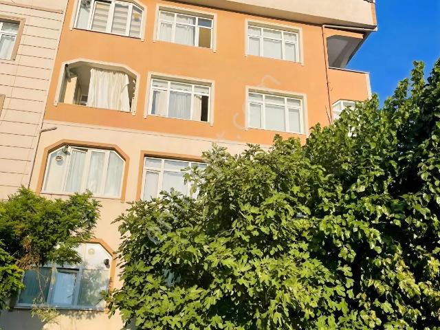 Pendik, İstanbul içerisinde satılık mülk