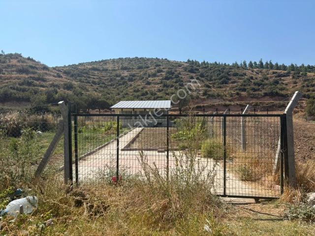 Alikurt, Bozkurt içerisinde satılık Villa