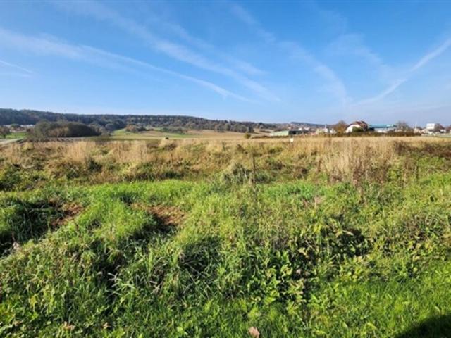 Grundstück kaufen in Bad Waltersdorf, Steiermark