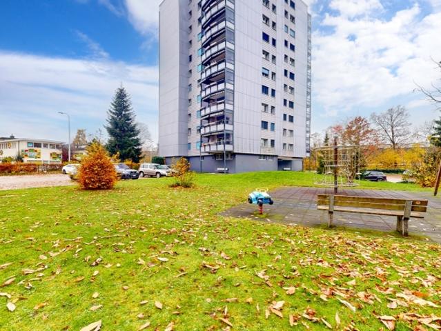 Wohnung mieten in Zofingen, Bezirk Zofingen