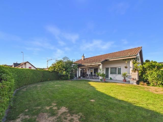 Einfamilienhaus kaufen in Stetten (AG), Aargau