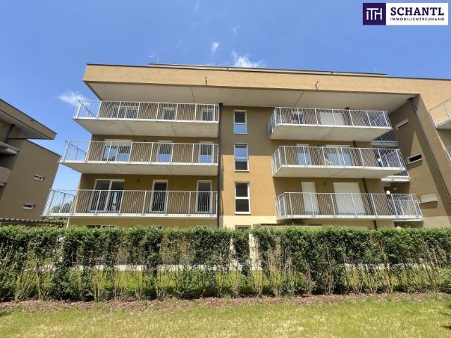 Wohnung kaufen in Gersdorf-Feistritz, Steiermark