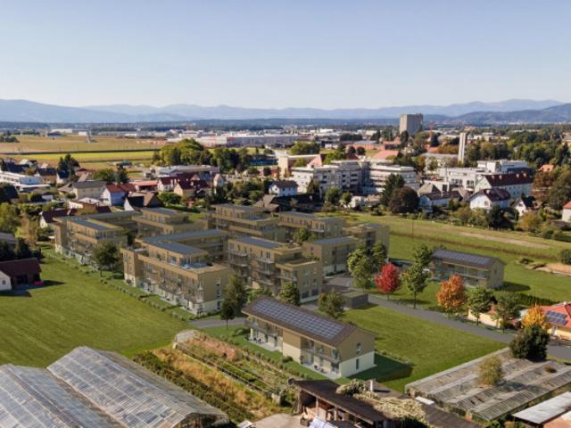 Wohnung kaufen in Kleinsulz, Kalsdorf bei Graz