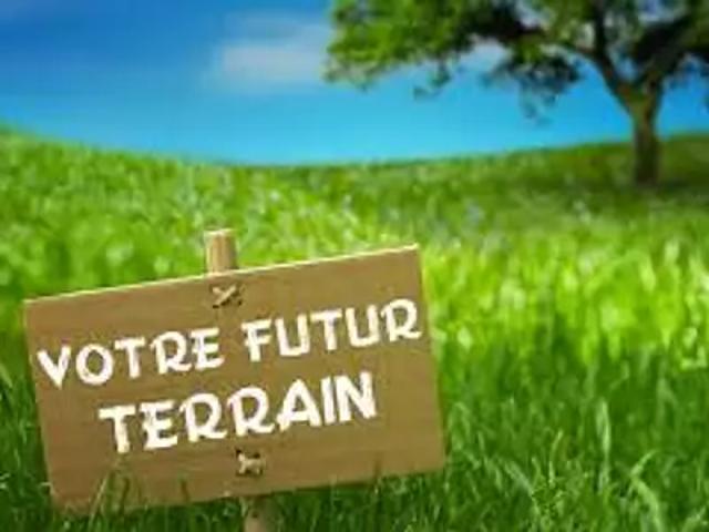 Terrain vente à Gensac-la-pallue, Chardon