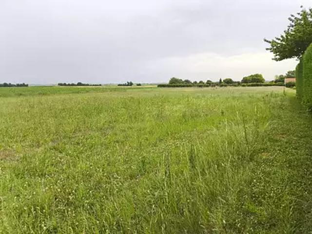 Terrain vente à Genté, La Couture