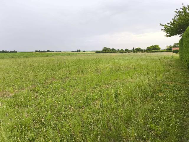 Terrain vente à Genté