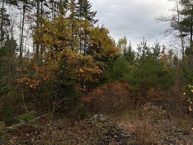 Land for sale in Waldoboro, Maine