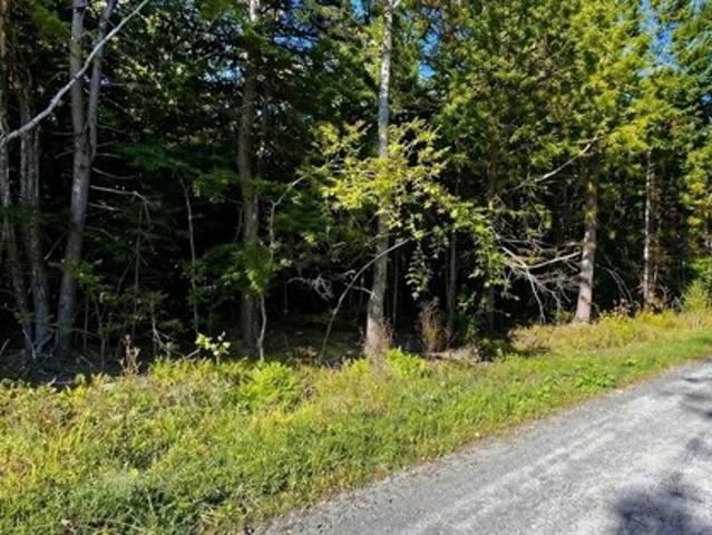Land for sale in Berkshire, Massachusetts