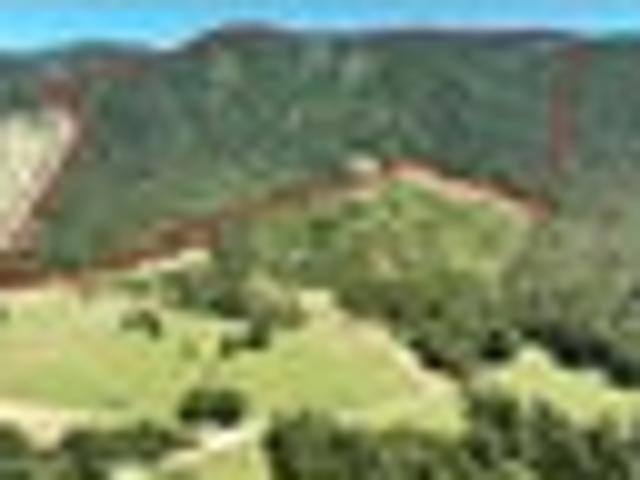 Land for sale in Tasman