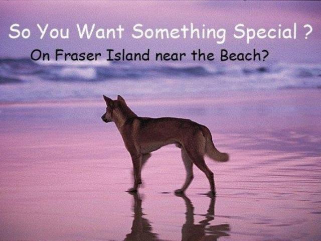Apartment for sale in Orchid Beach, Queensland