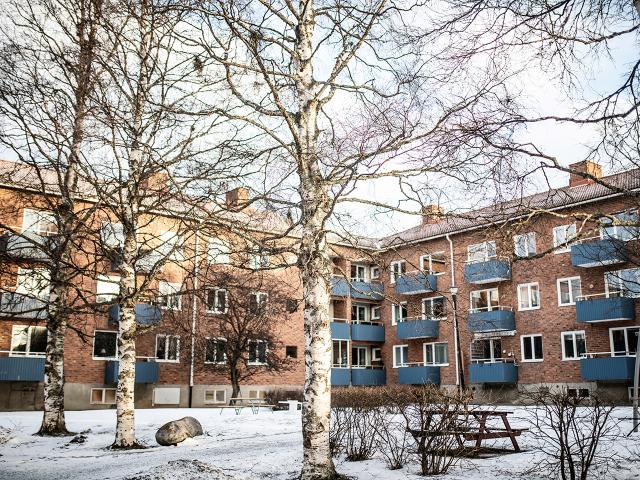 Lägenhet hyra i Östersund, Jämtland