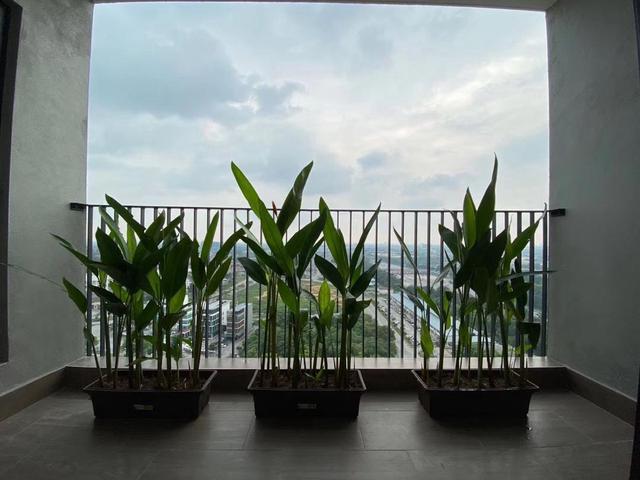 Serviced Residence for rent in Petaling, Alam Impian