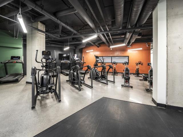 Apartment for rent in Kingston, Ontario