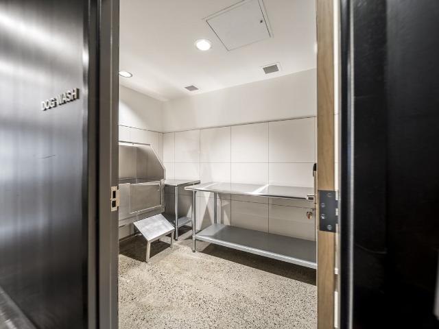Apartment for rent in Kingston, Ontario