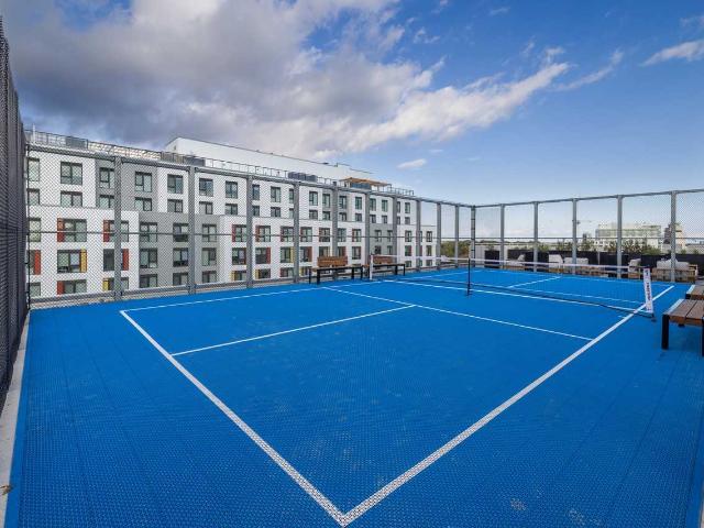 Apartment for rent in Kingston, Ontario