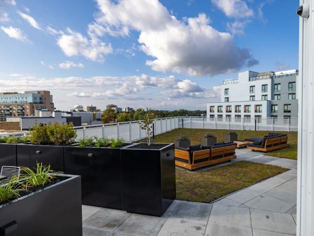 Apartment for rent in Kingston, Ontario