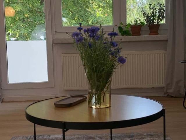 Apartment mieten in Treptow–Köpenick, Berlin