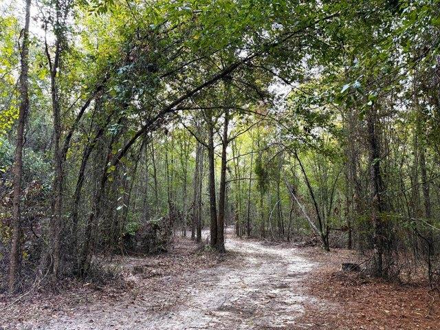 Land for sale in Twin City, Emanuel County