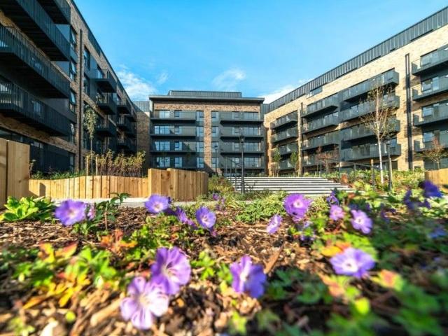 Apartment for rent in Repton Manor, Bridgefield