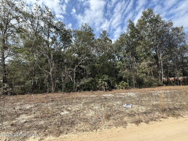 Land for sale in Interlachen Land for sale in Interlachen