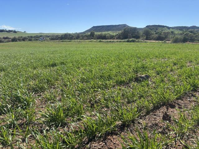 Cottage for sale in Bowes, Western Australia