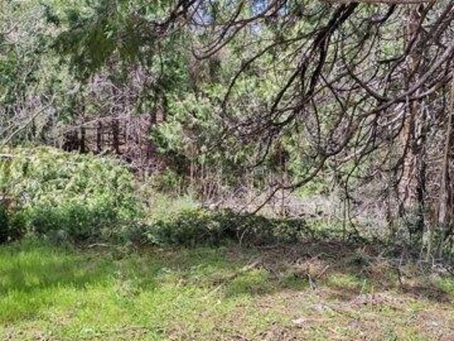 Land for sale in Georgetown, California