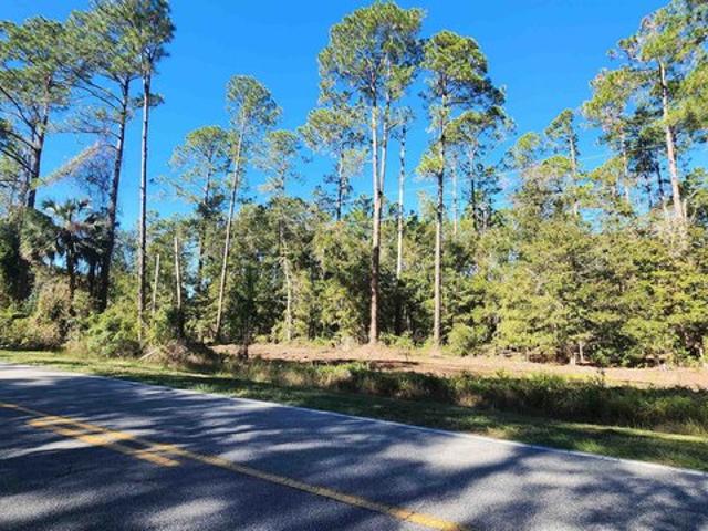 Land for sale in Florida