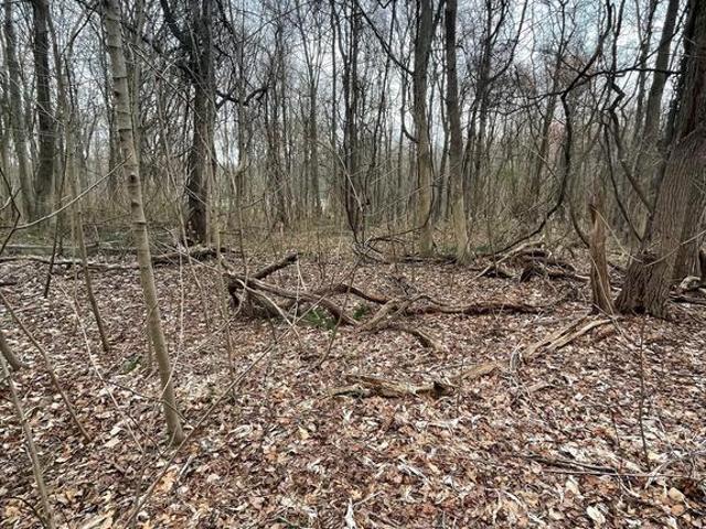Land for sale in Georgetown, Maryland