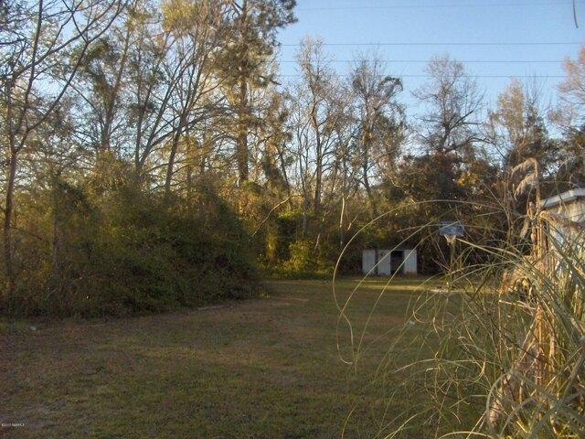 Land for sale in Barnwell