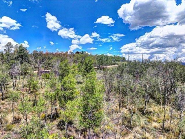 Land for sale in Colorado