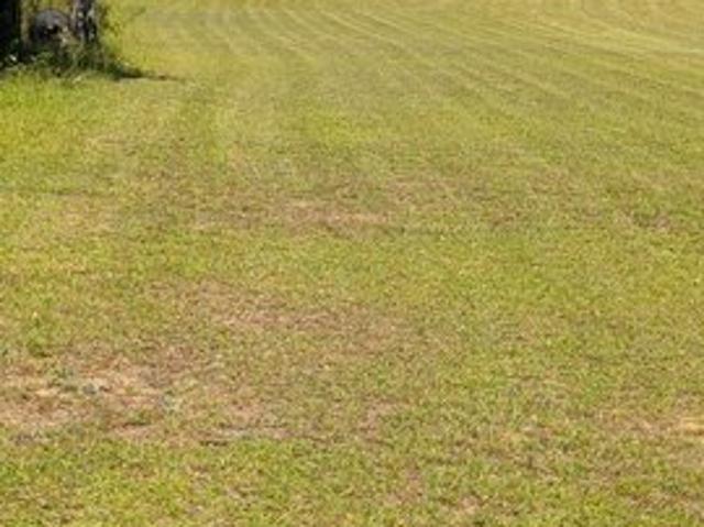 Land for sale in Butler, Georgia