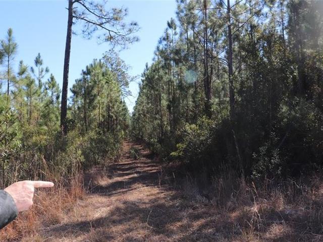 Farm for sale in Hilliard, Florida