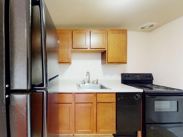 Apartment for rent in Saint Louis, Missouri