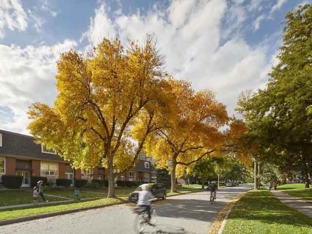 Apartment for rent in Burlington, Ontario