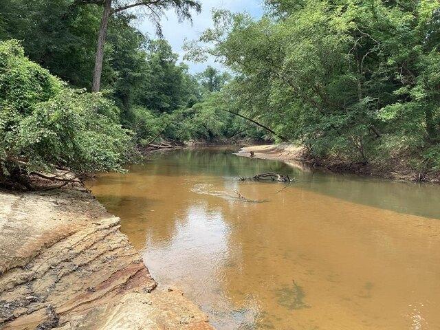 Land for sale in Brantley