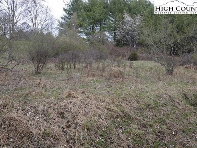 Land for sale in Alleghany, North Carolina