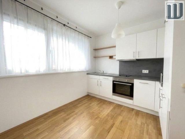 Apartment mieten in Leobersdorf, Niederösterreich