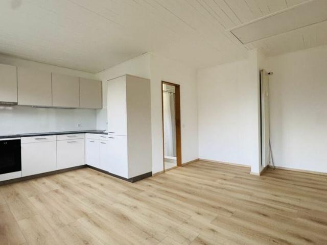 Apartment mieten in Bettingen, Basel-Stadt