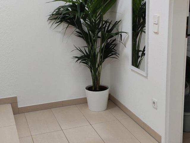 Wohnung mieten in Odenthal, Nordrhein-Westfalen
