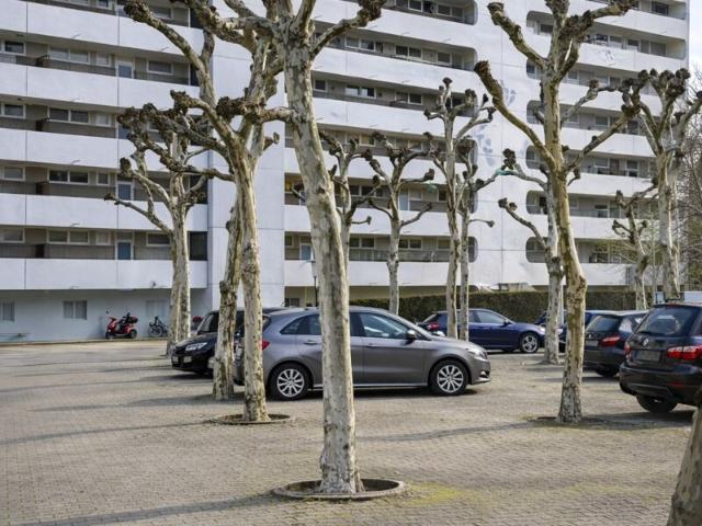 Wohnung kaufen in Altstadt, Dietzenbach