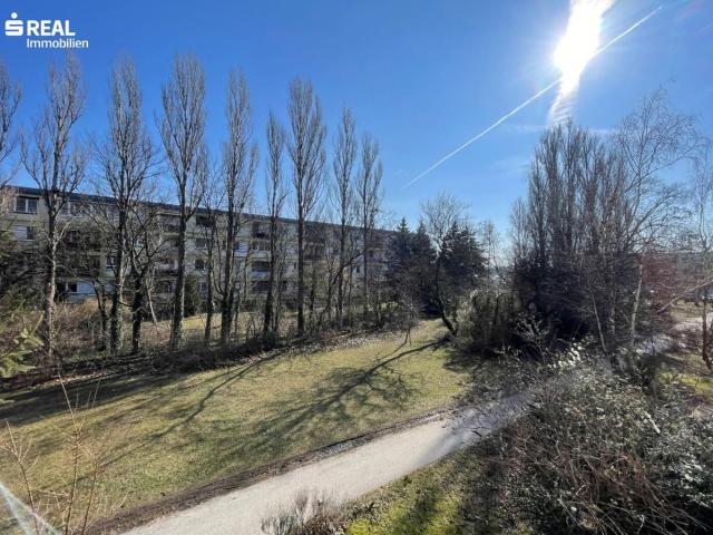 Wohnung mieten in Maria Enzersdorf, Niederösterreich