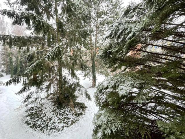 Wohnung mieten in Maria Enzersdorf, Niederösterreich