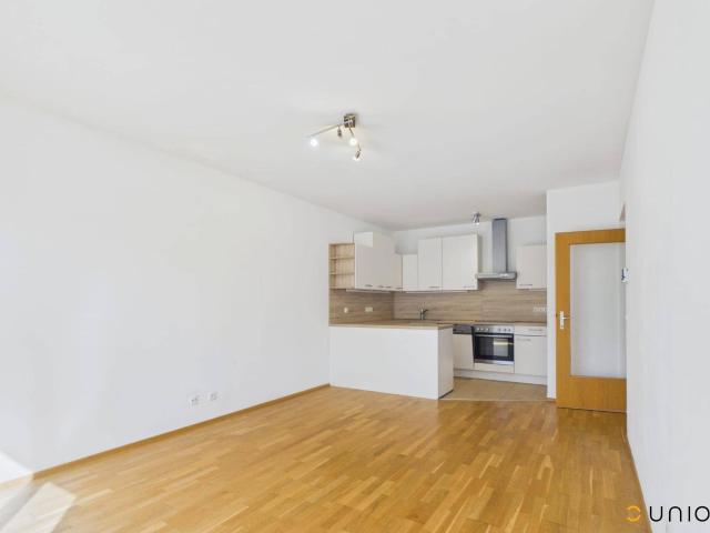 Apartment mieten in Guntramsdorf, Bezirk Mödling