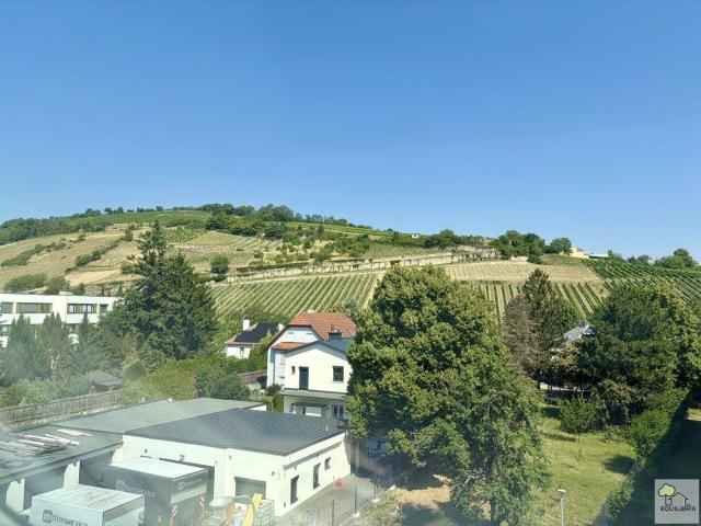 Apartment kaufen in Weidling, Klosterneuburg