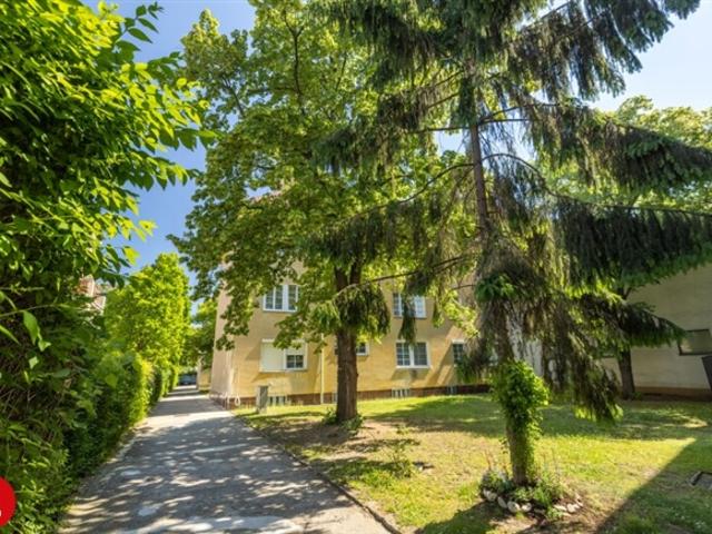 Wohnung mieten in Schwechat, Niederösterreich