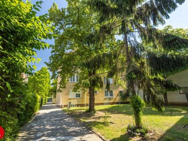 Wohnung mieten in Schwechat, Niederösterreich