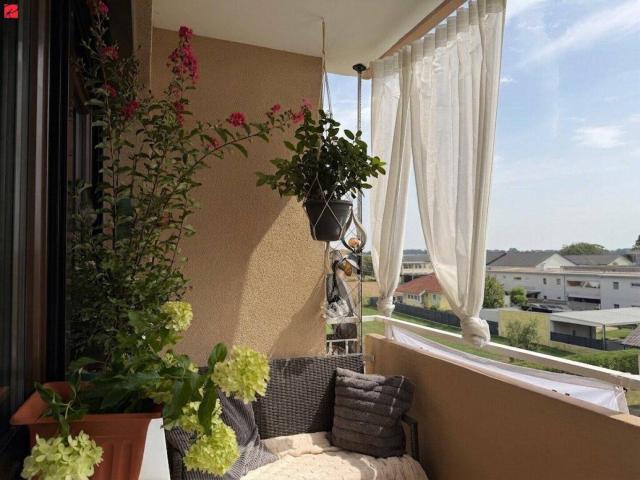 Apartment kaufen in Kaindorf an der Sulm